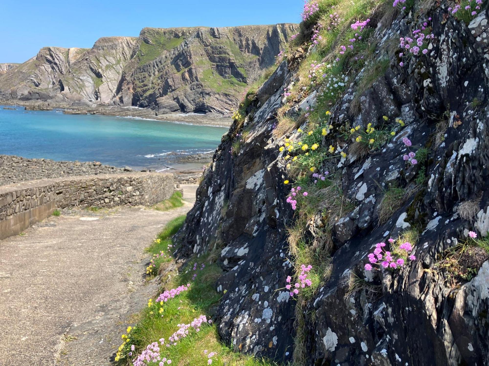 Hartland Quay Hotel Екстериор снимка